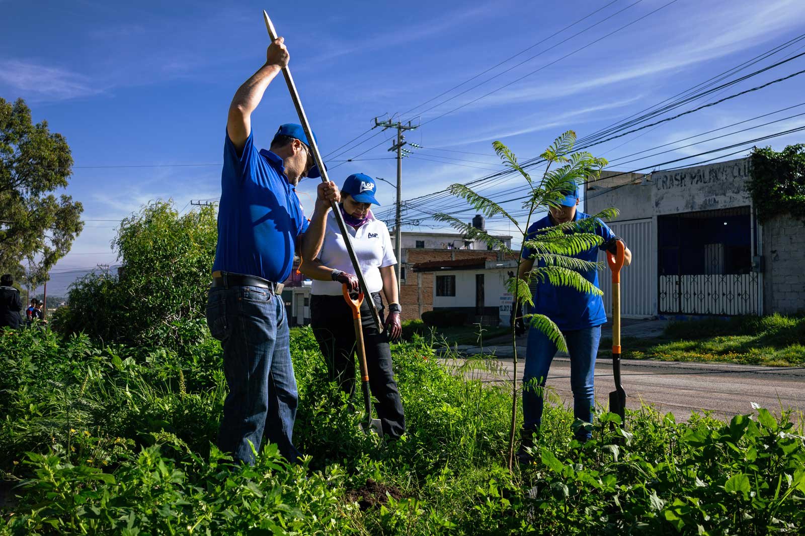 Voluntariado Imagen-15-2