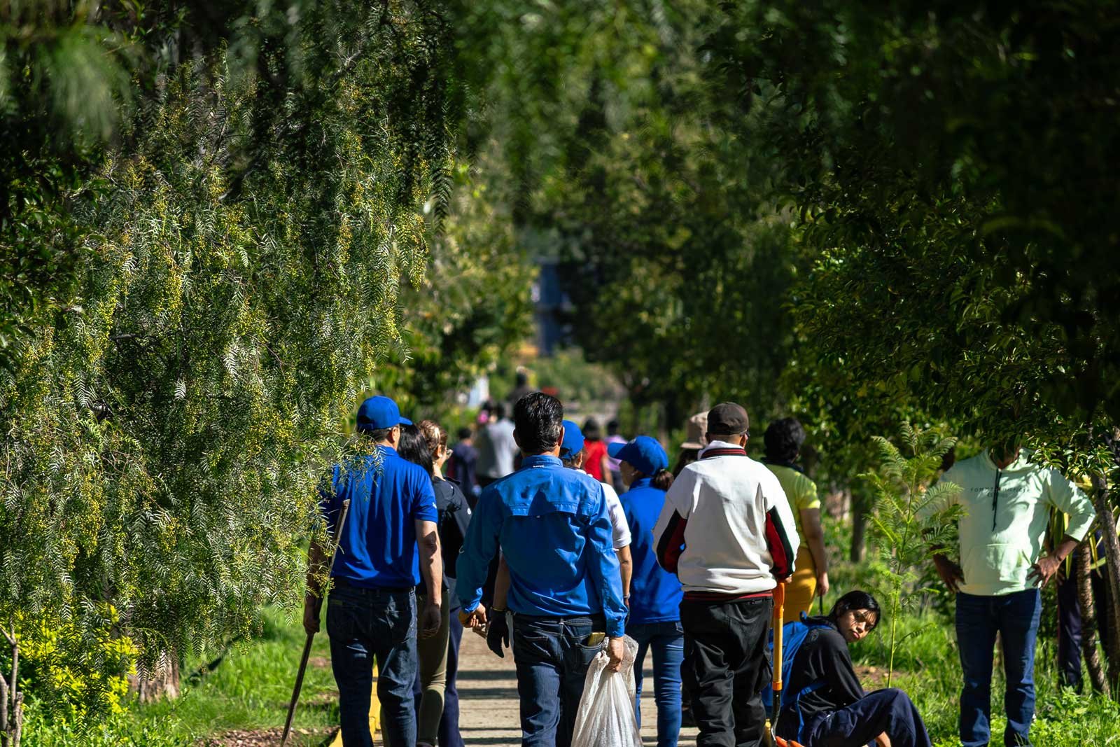 Voluntariado Imagen-57