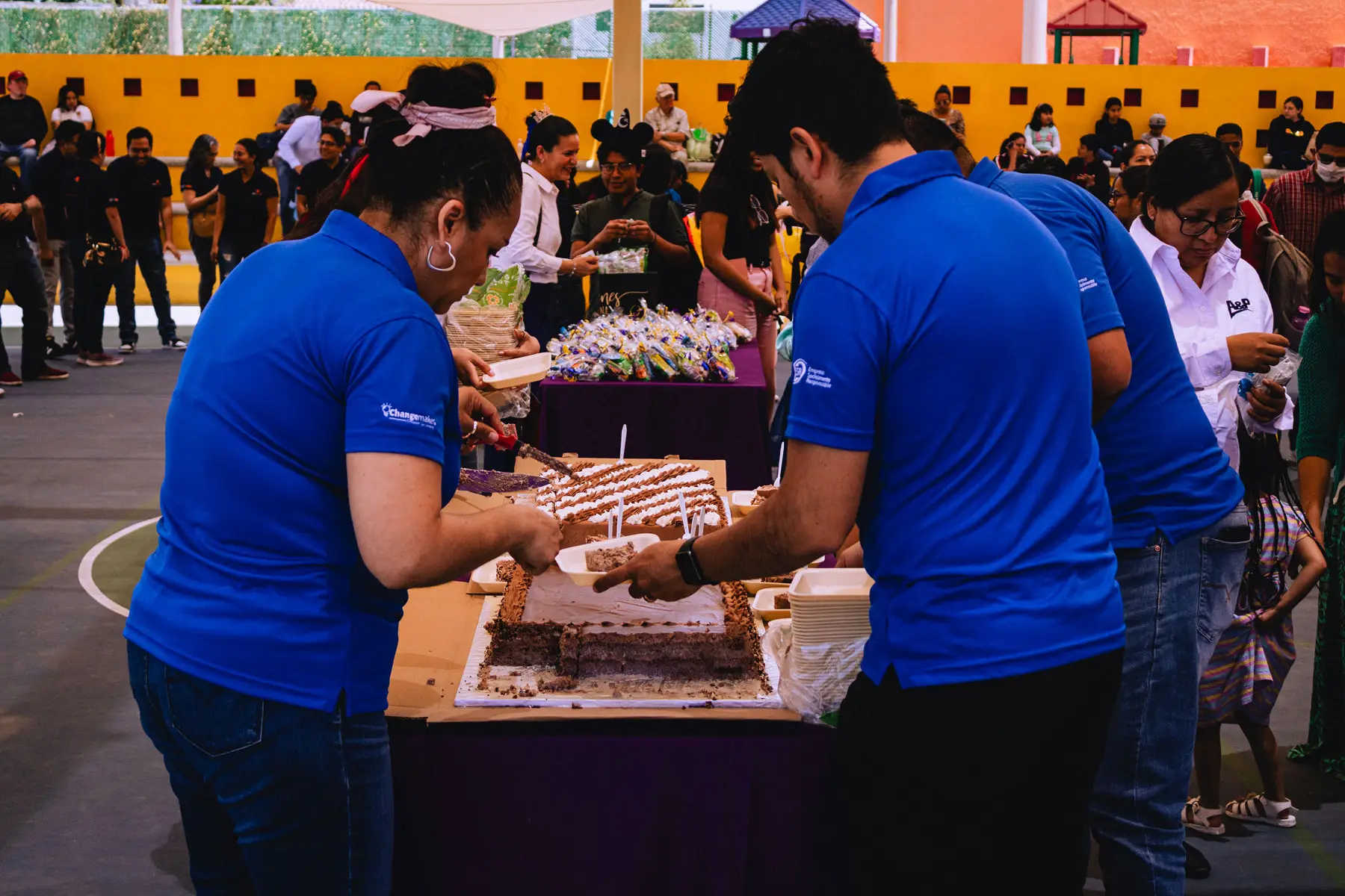Voluntariado img7